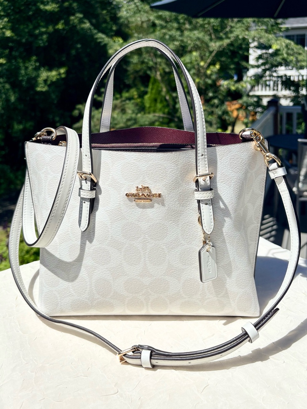 COACH Mollie Tote Bag 25 In Signature Canvas In Chalk White C4250